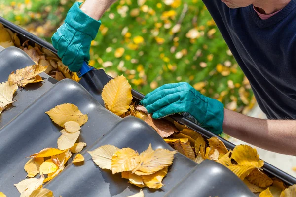 Gutter Companies In Indianapolis